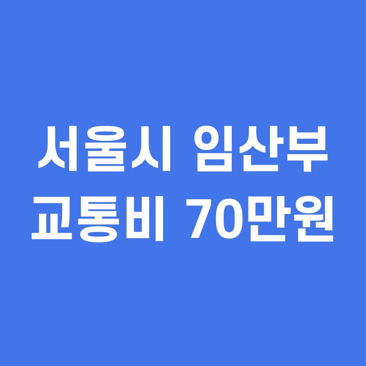  서울시 임산부 교통비 70만원 지원대상 신청방법