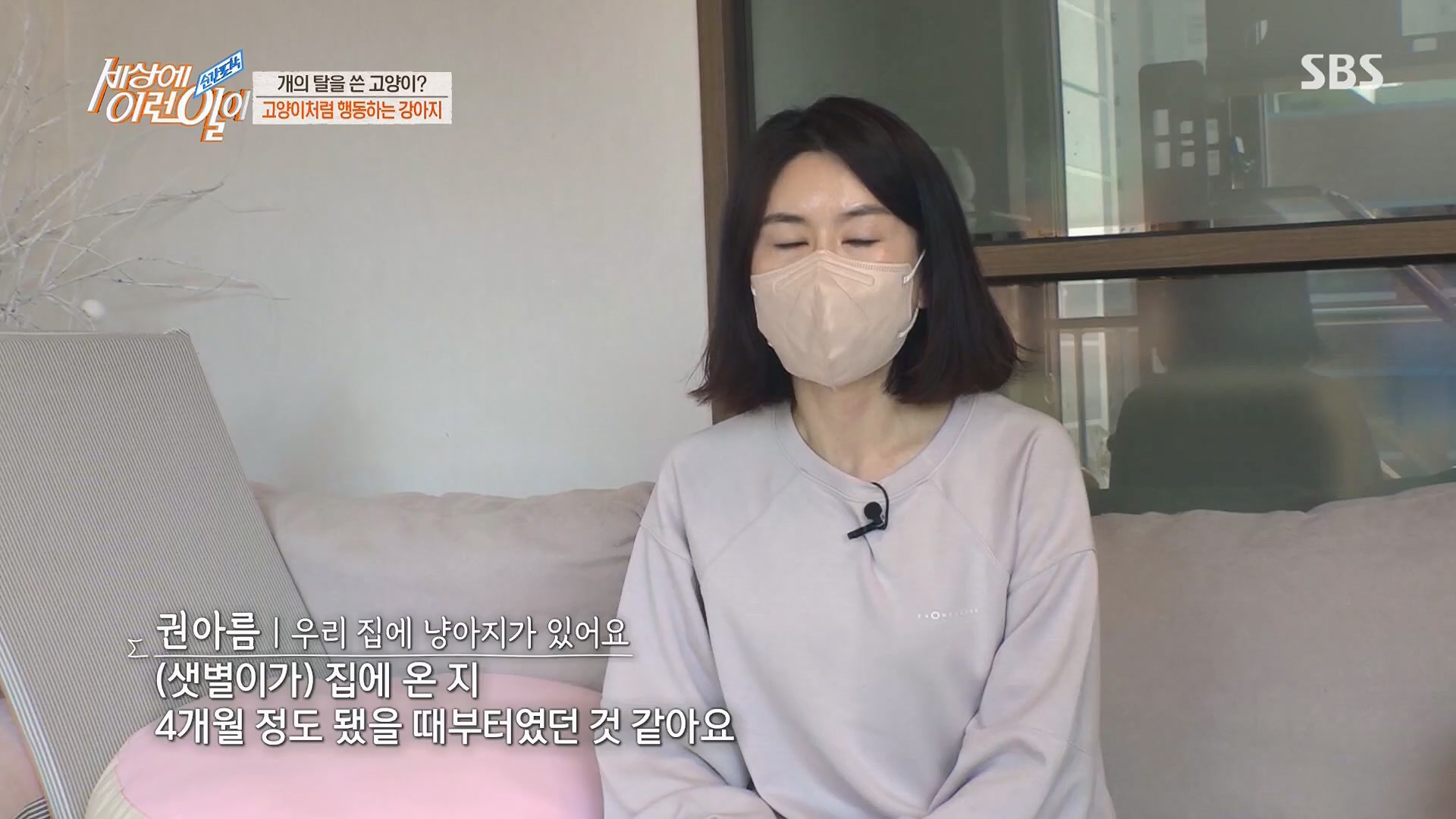 순간포착 세상에 이런일이.E1229.230509p.H264-F1RST.mp4_20230510_194445.482.jpg