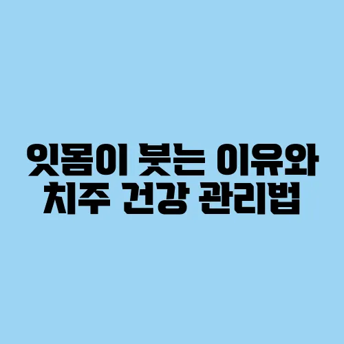 잇몸이 붓는 이유와 치주 건강 관리법