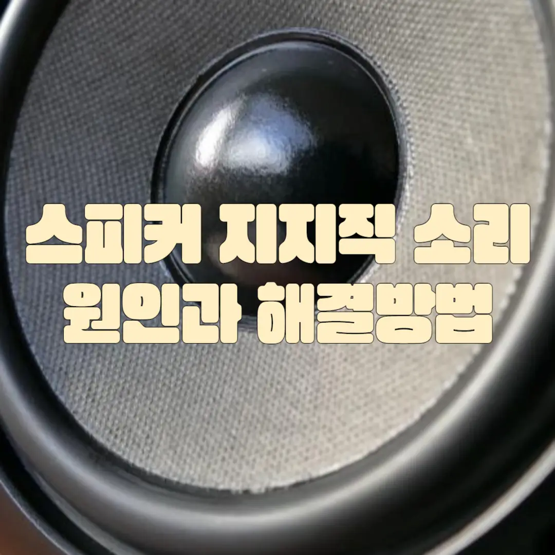 스피커에서 나는 지지직 소리