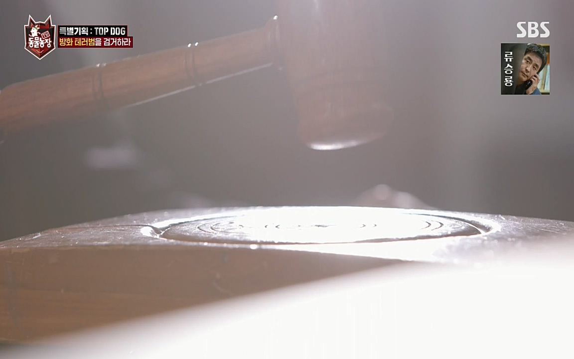 TV 동물농장.E1085.220905p-NEXT.mp4_20220904_173558.368.jpg