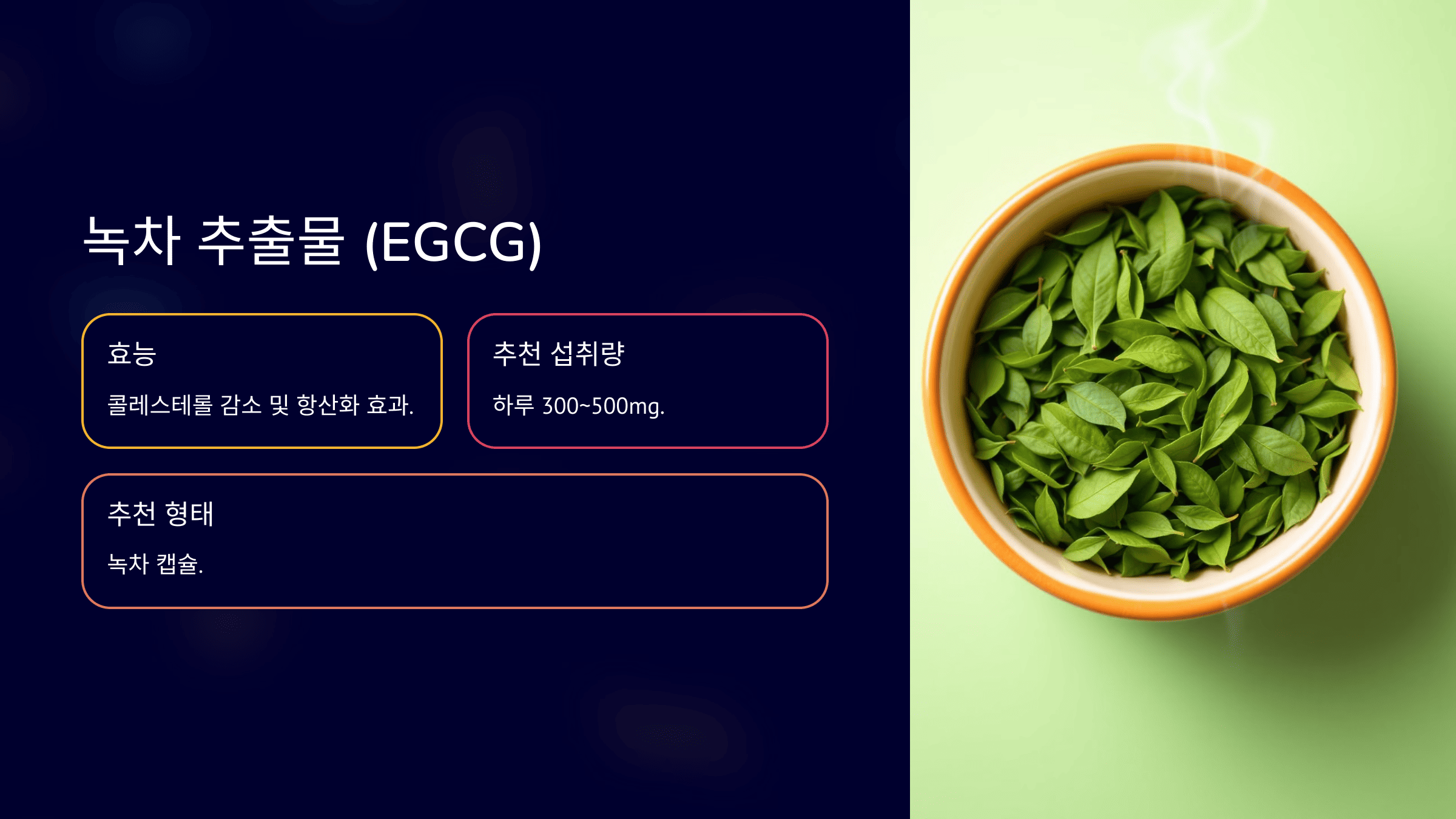 녹차 추출물 (EGCG)