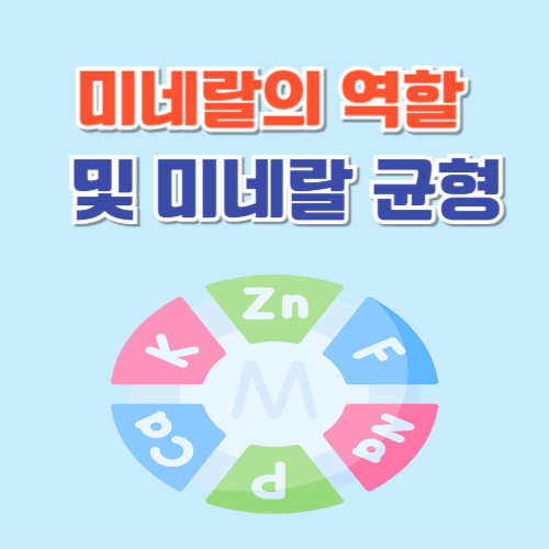 썸네일사진