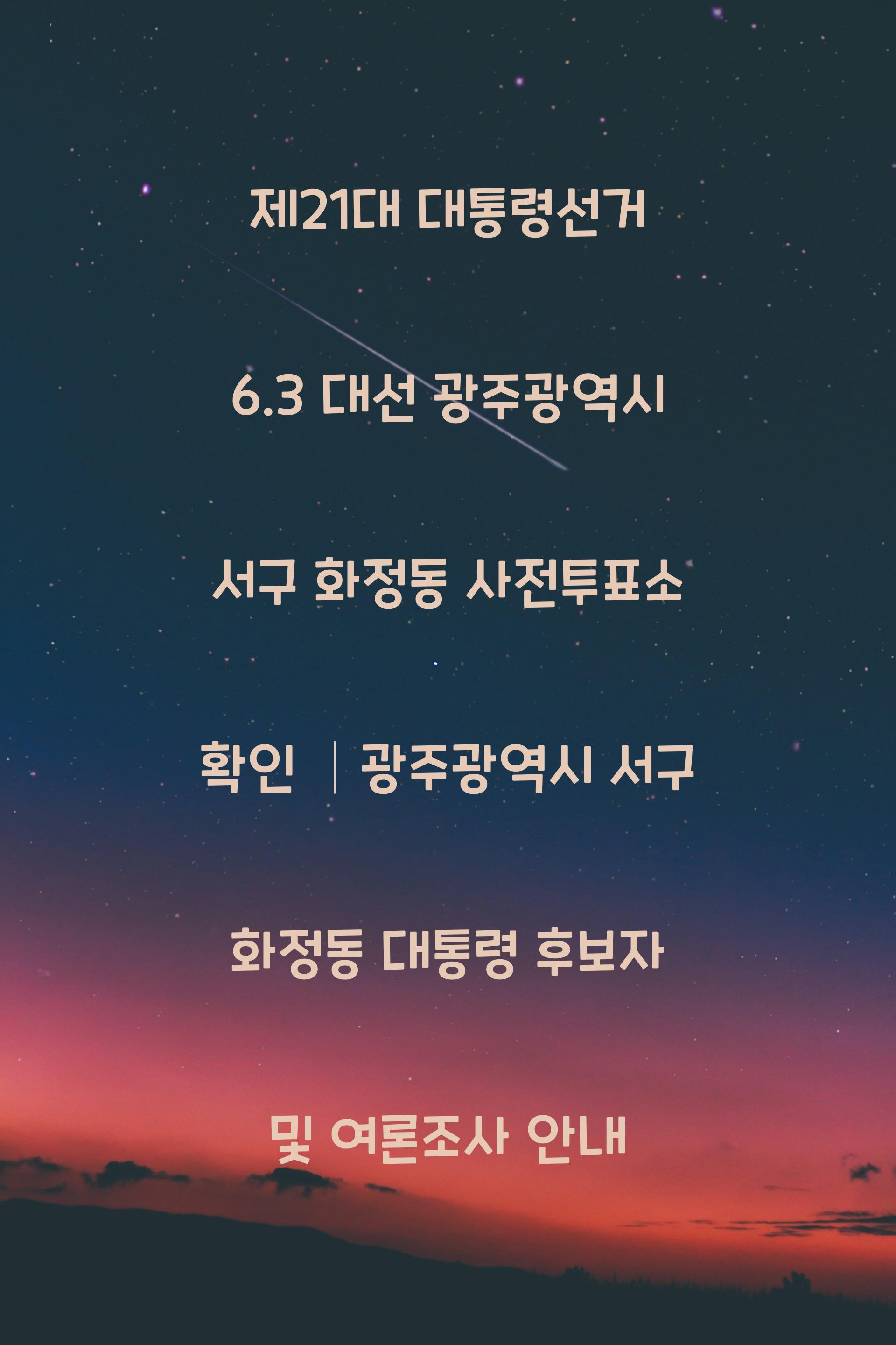 제21대 대통령선거 6.3 대선 광주광역시 서구 화정동 사전투표소 안내 │광주광역시 서구 화정동 대통령 후보자 및 여론조사 확인