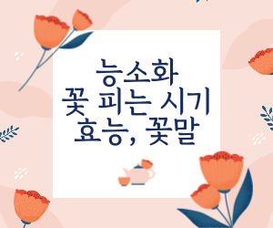 alt=&quot;능소화 꽃&quot;