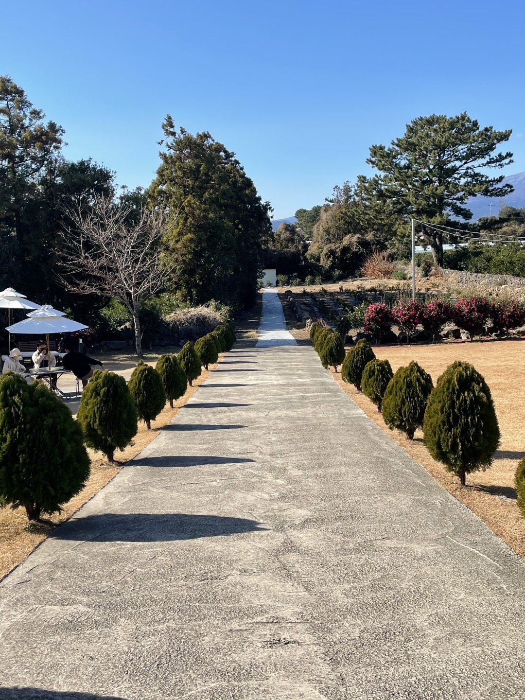 모노클제주 이미지