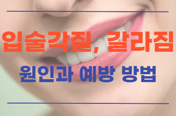  건조한 날씨 입술 각질 갈라짐 발생원인과 다양한 예방법
