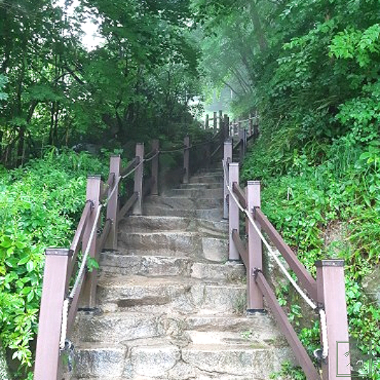 석굴암에서 내려오는 계단 이미지