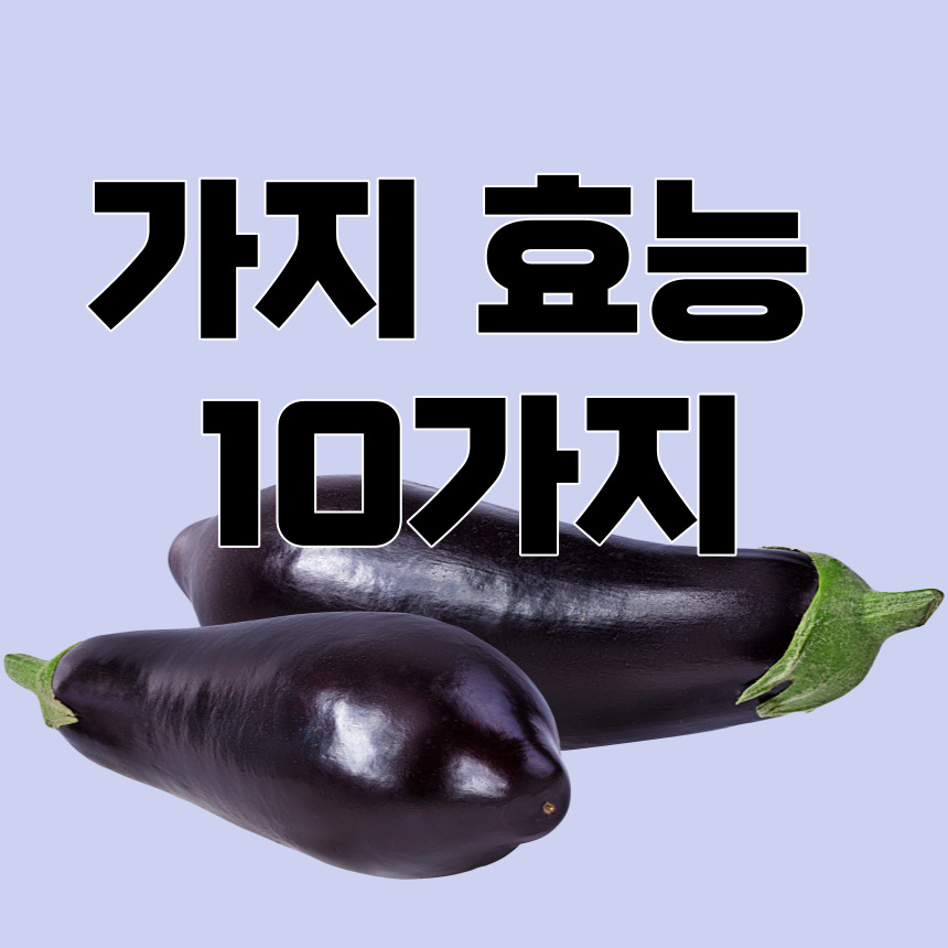 가지 효능