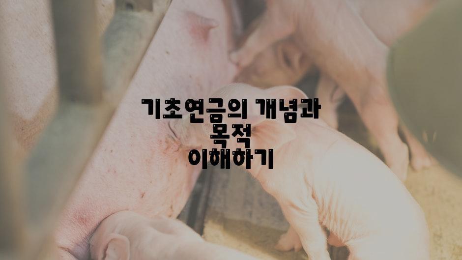 기초연금의 개념과 목적 이해하기