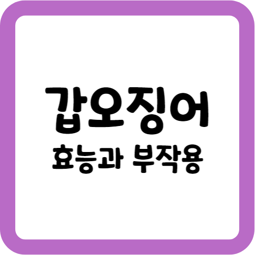 갑오징어의 효능과 부작용