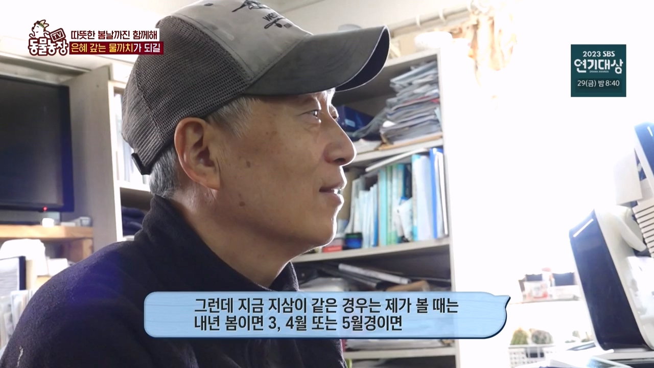 TV 동물농장.E1150.231218p-NEXT.mp4_20231217_171357.248.jpg