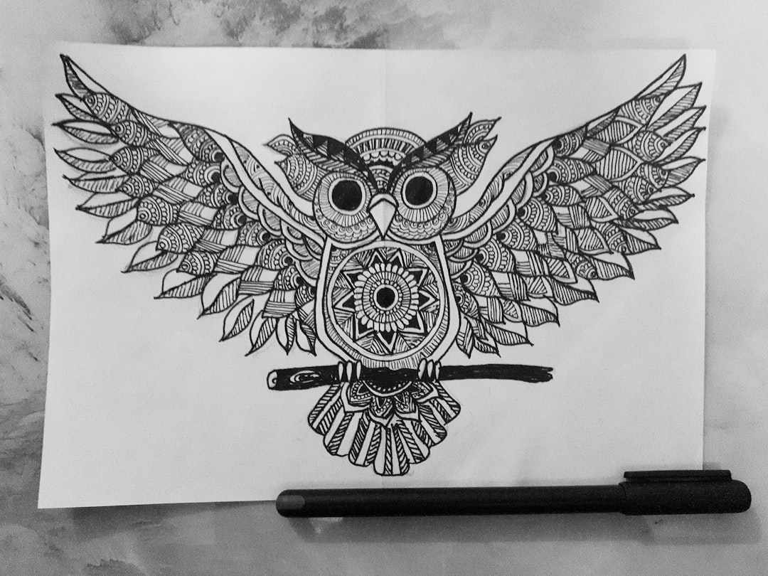 beginner