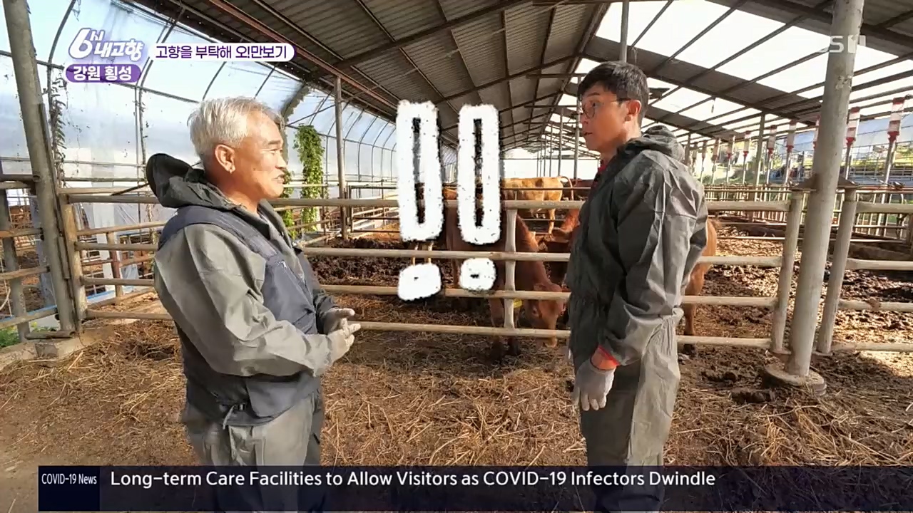 6시 내고향.E7640.221019p.H264-F1RST.mp4_20221020_170057.445.jpg