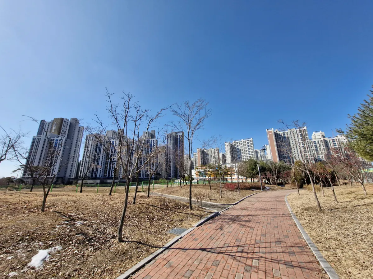 나무-가지가-앙상한-공원길