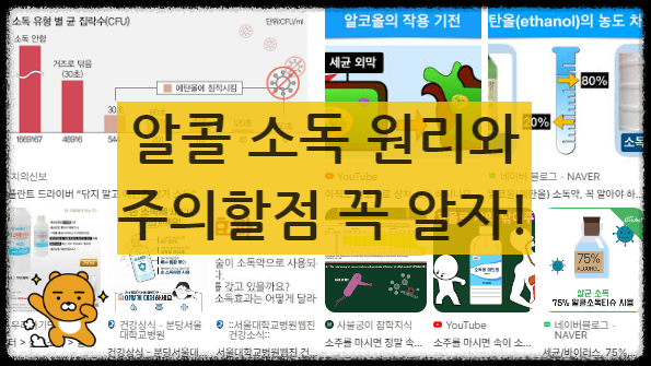 알콜 소독 원리와 효과 주의할점