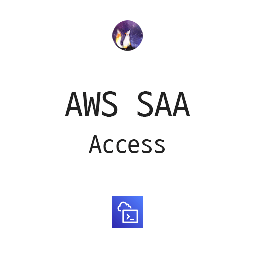  AWS SAA - Access