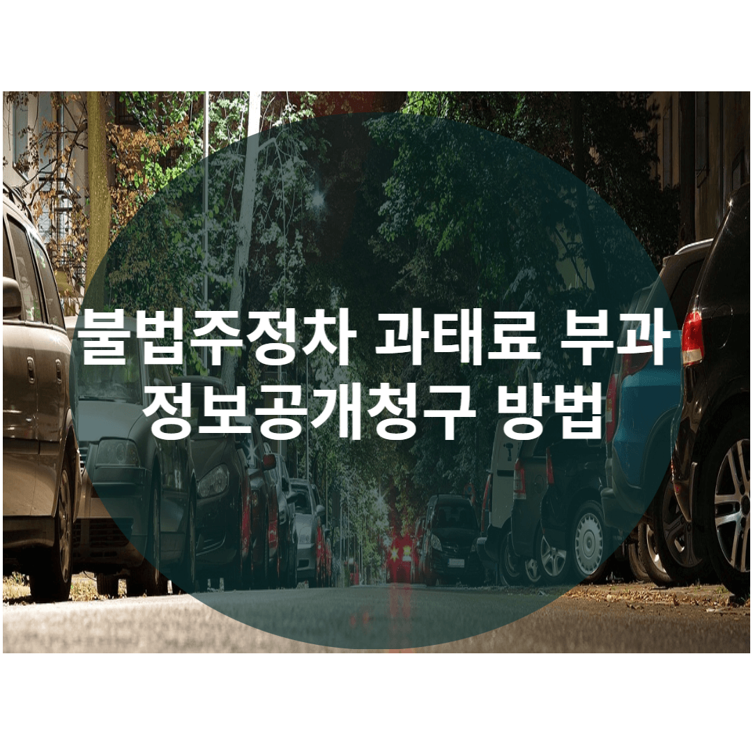  불법주정차 신고 과태료 부과 확인, 정보공개청구를 이용해보자