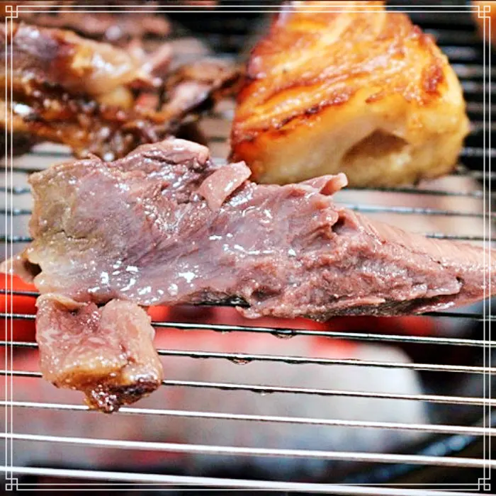 생방송 투데이 고성&#44; 아야진&#44; 속초 참치&#44; 참치머리 숯불구이 맛집