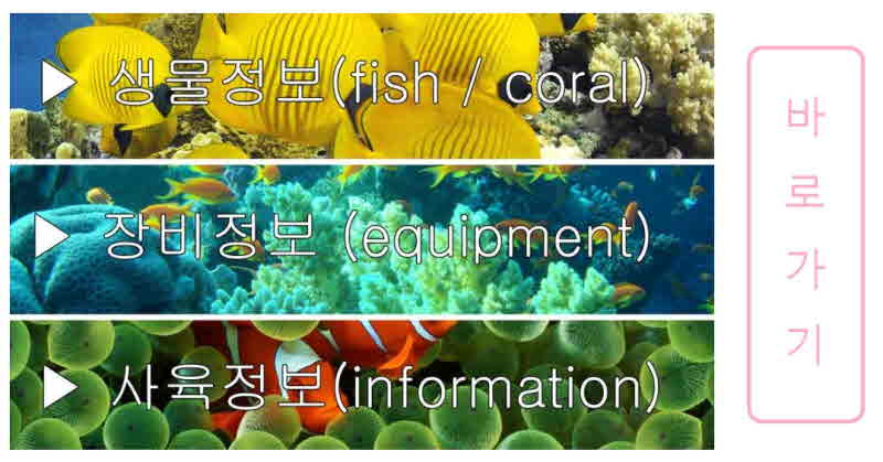 물고기 사이트