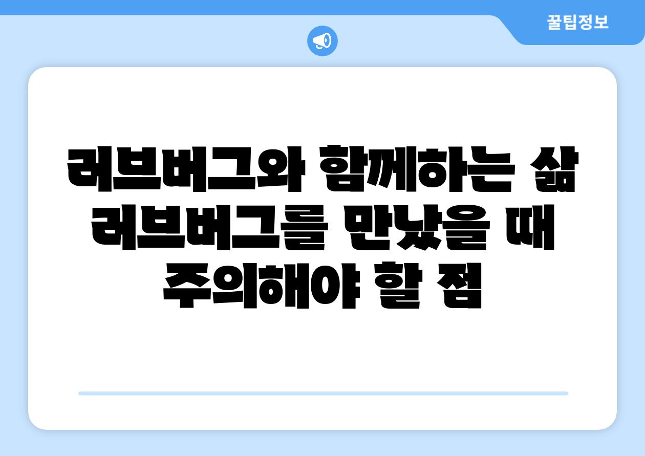 러브버그와 함께하는 삶 러브버그를 만났을 때 주의해야 할 점