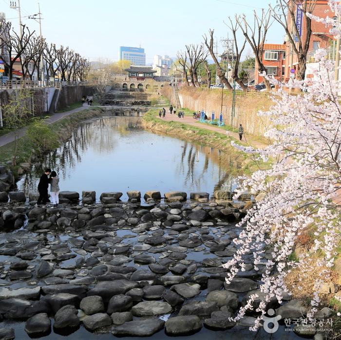 수원-화홍문-벚꽃-출처-한국관광공사