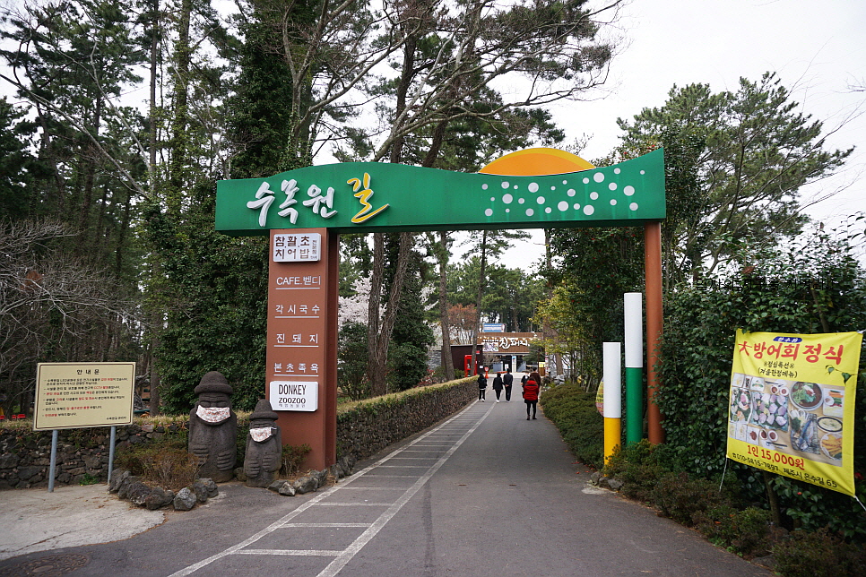 저녁에 가볼만한곳 야간 명소 제주 수목원길 야시장 제주도 24