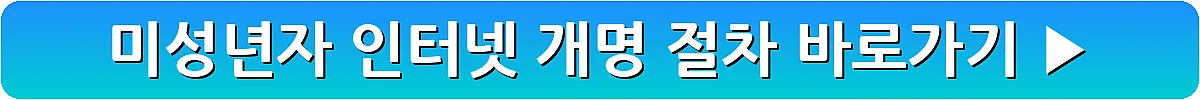 미성년자 인터넷 개명 절차_10