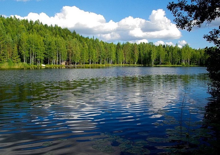 숲-나무-자연-호수