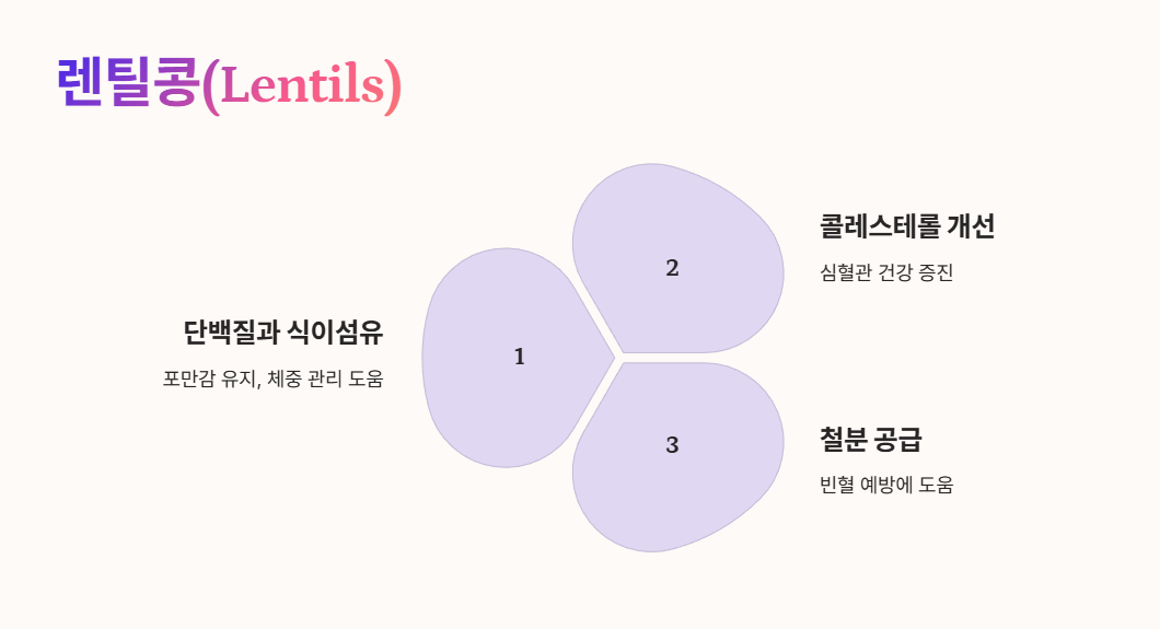 렌틸콩(Lentils)