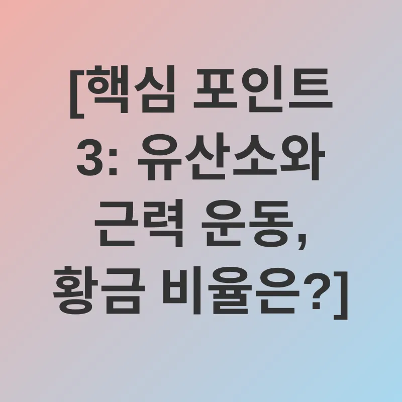 운동 루틴_3