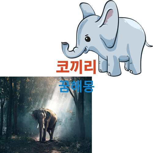 코끼리-꿈-해몽