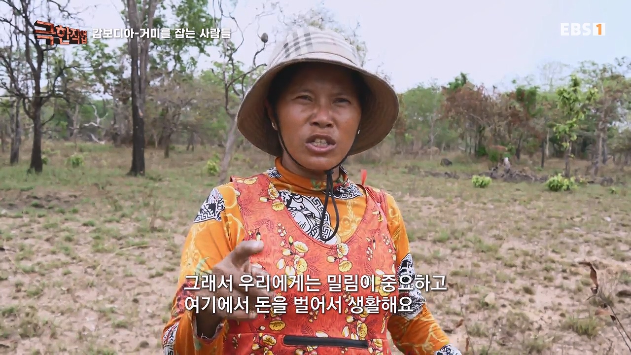 TV - 전 국민의 평생학교 EBS캄보디아 - 독충을 잡는 사람들.mp4_20230501_173147.420.jpg
