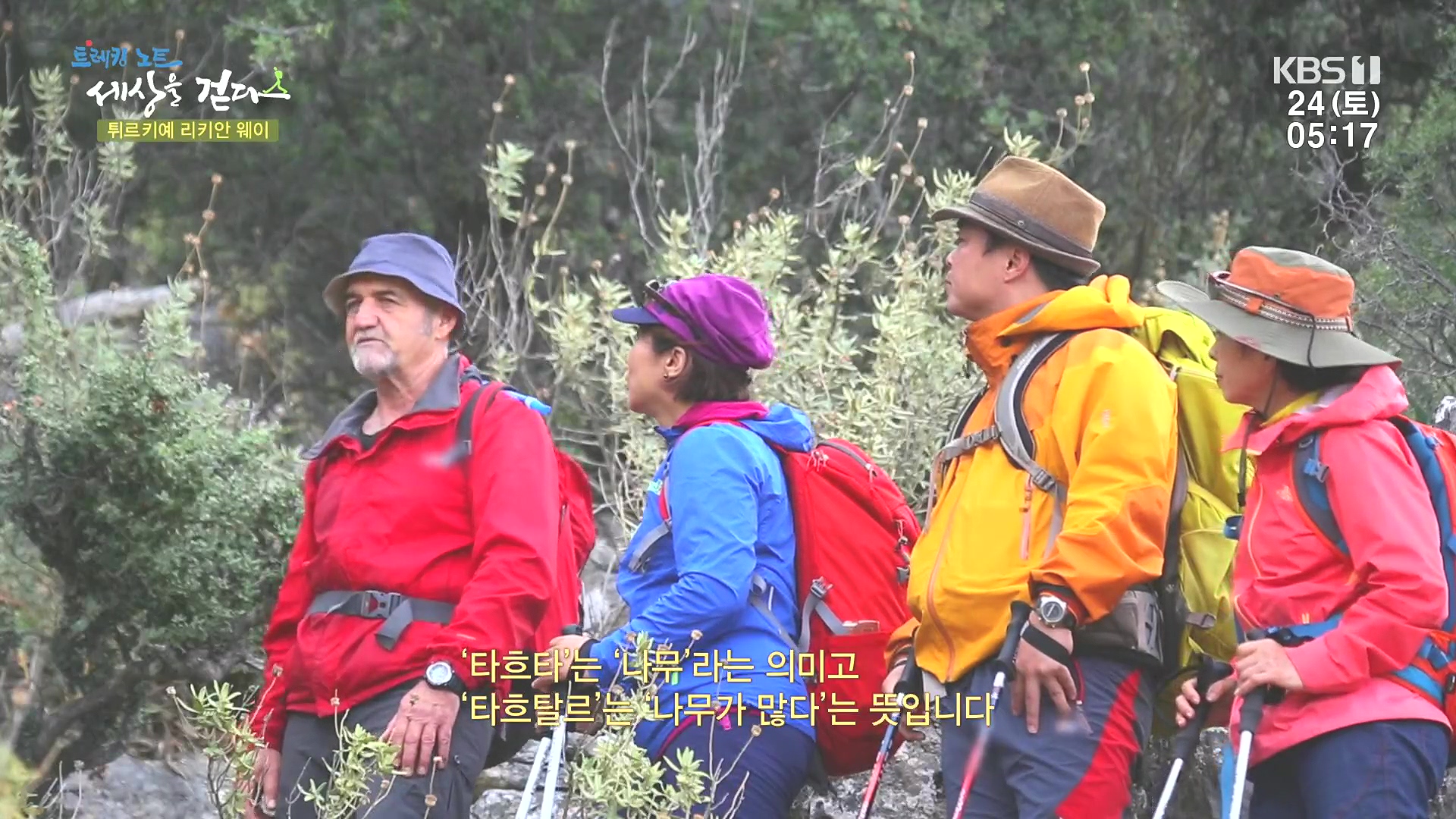 트레킹노트 세상을 걷다.E309.240224p.H264-F1RST.mp4_20240808_195712.106.jpg