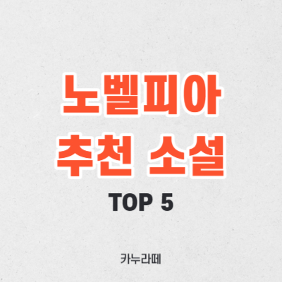 노벨피아 추천 소설 TOP 5