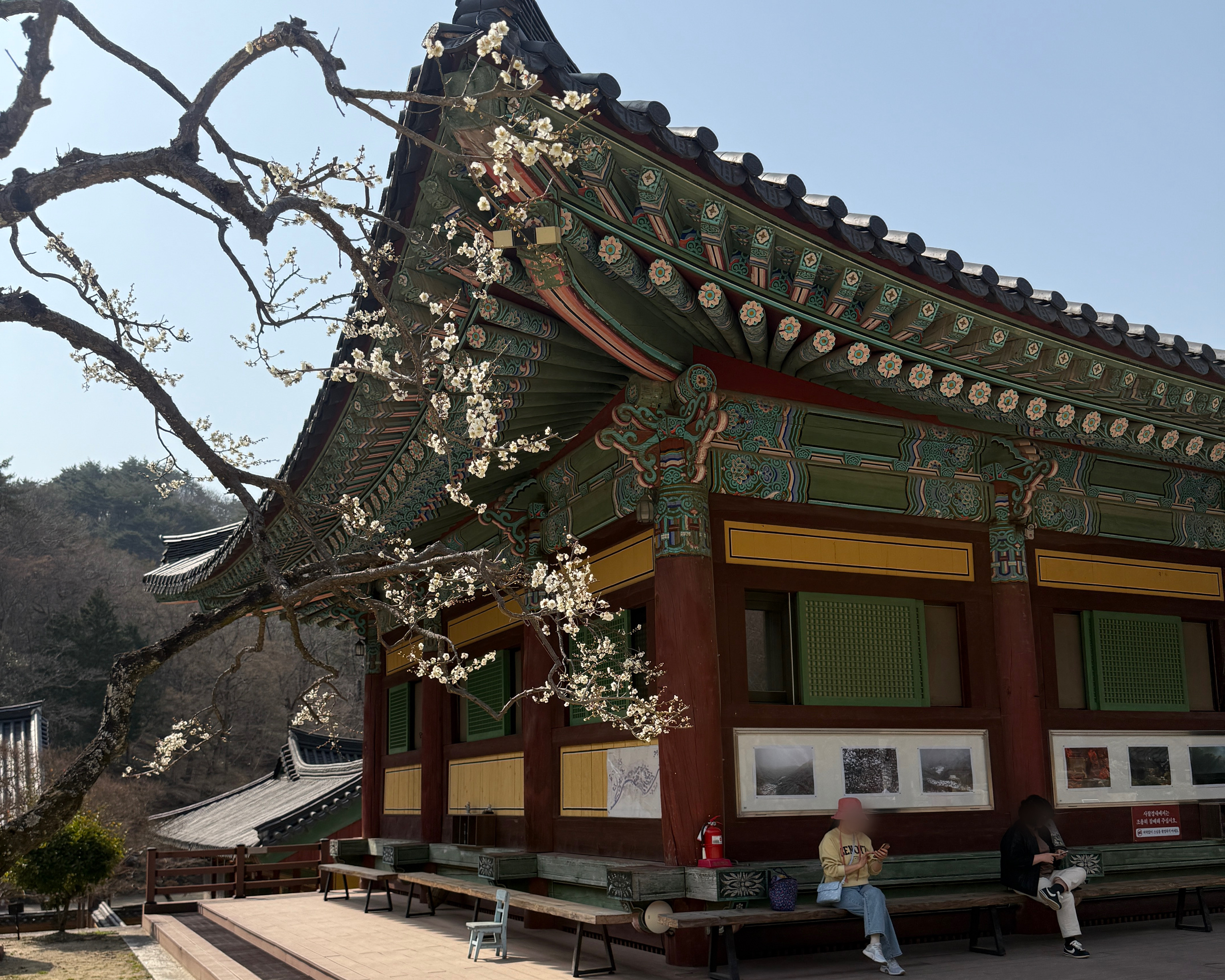 순천 송광사