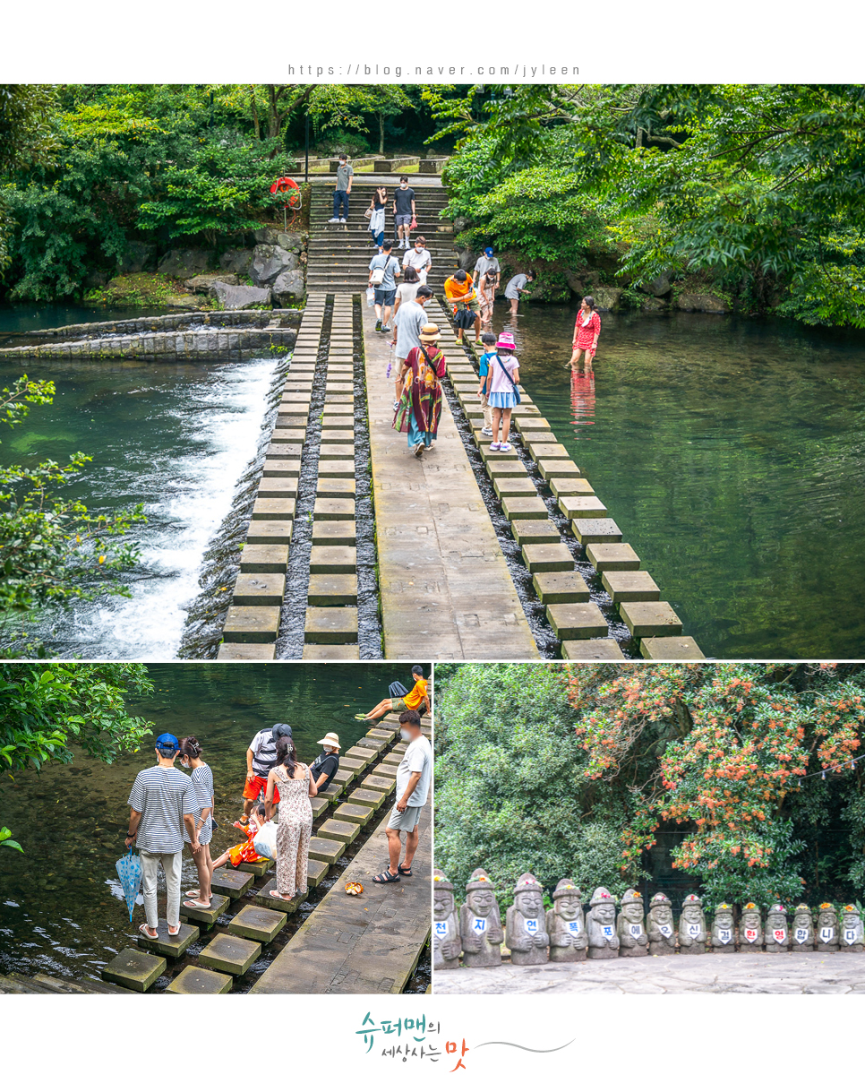 승합차렌트 제주도 11