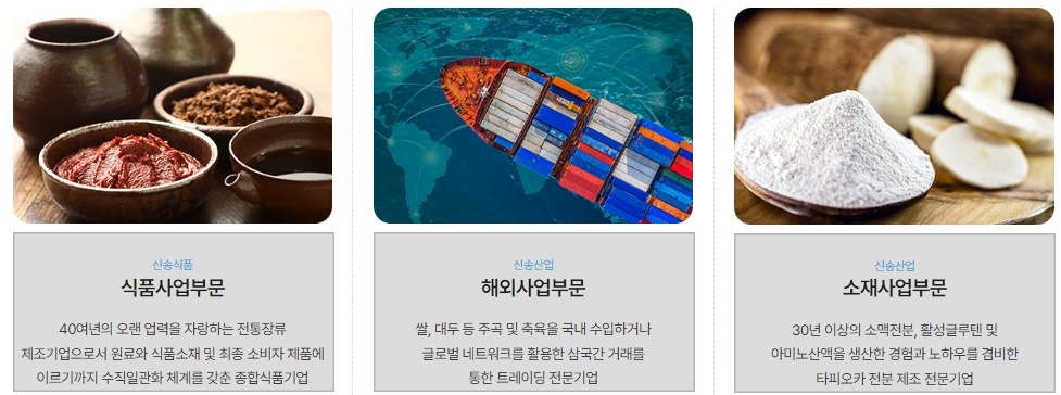 신송홀딩스의_사업부문