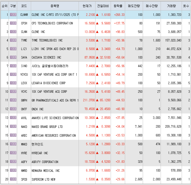  2월3일 미국주식 상승률 상위 종목 TOP 300