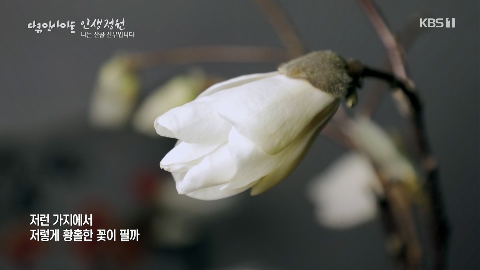 다큐 인사이트.E153.230608p.H264-F1RST.mp4_20230612_204137.674.jpg