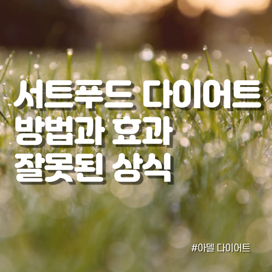  서트푸드 다이어트 방법 효과 문제점