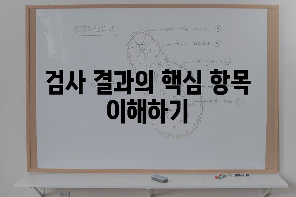 검사 결과의 핵심 항목 이해하기