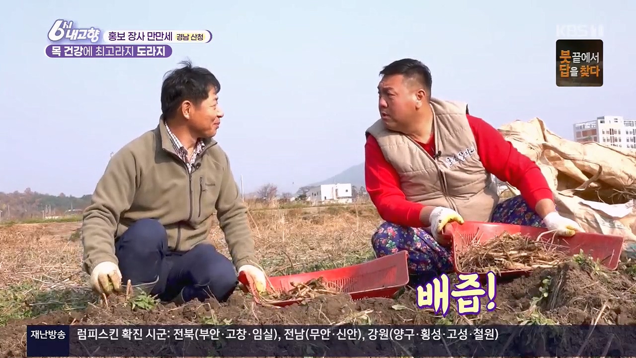 6시 내고향.E7922.231129p.H264-F1RST.mp4_20231129_200951.136.jpg