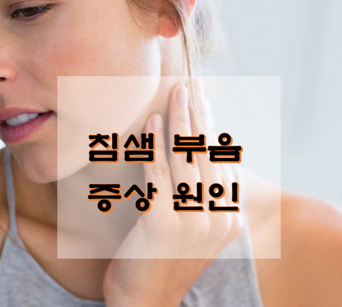  침샘 부음 증상 원인