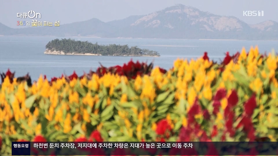 다큐 On.E201.230610p.H264-F1RST.mp4_20230611_165940.515.jpg