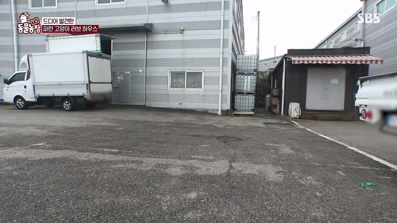 TV 동물농장.E1177.240624p-NEXT.mp4_20240623_163738.681.jpg