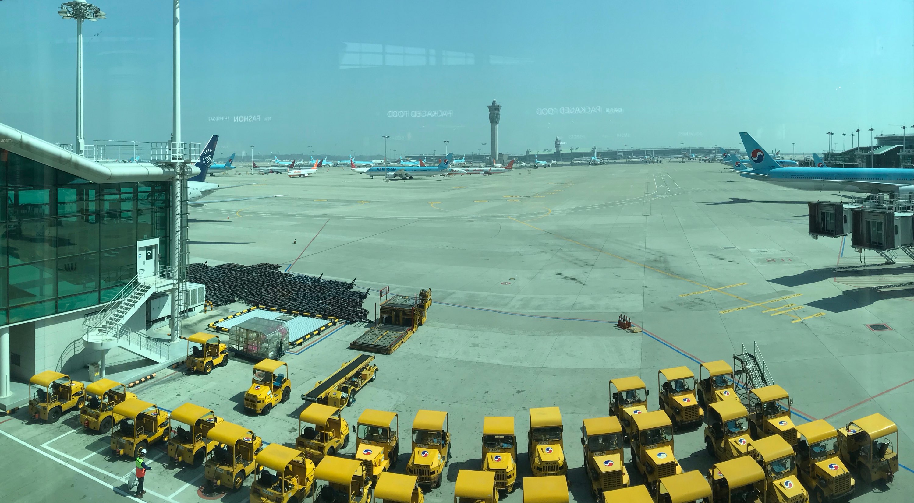  공항 직원이 알려주는 항공업계의 현재 상황_[코로나19/생존]