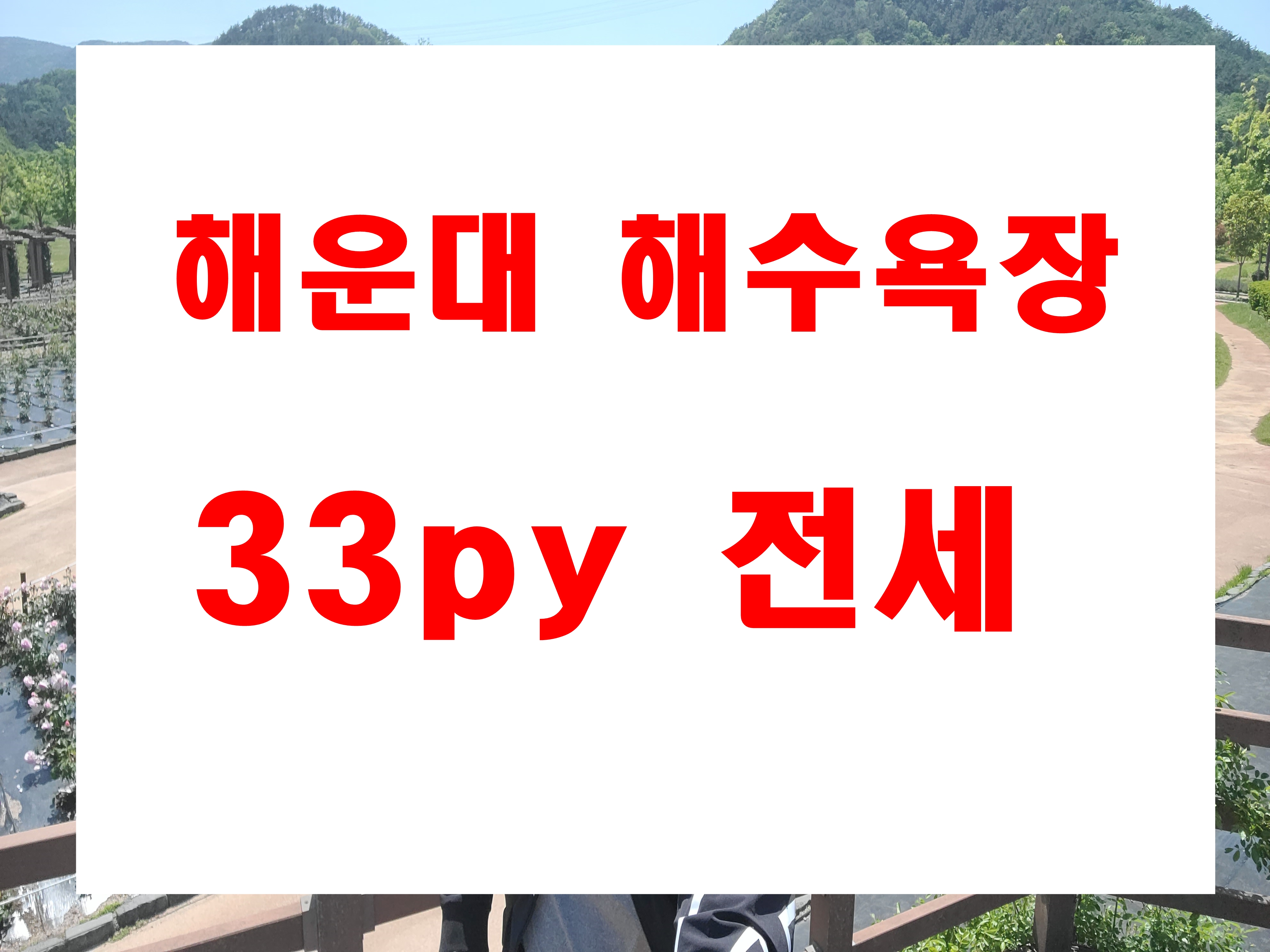  해운대 아파트 전세 중동 럭키골든스위트 33평형 정보
