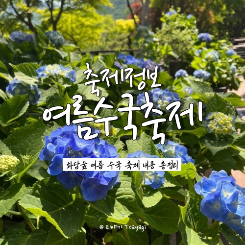  곤지암리조트 화담숲 여름 수국축제 입장료 및 반딧불이 이벤트 총정리