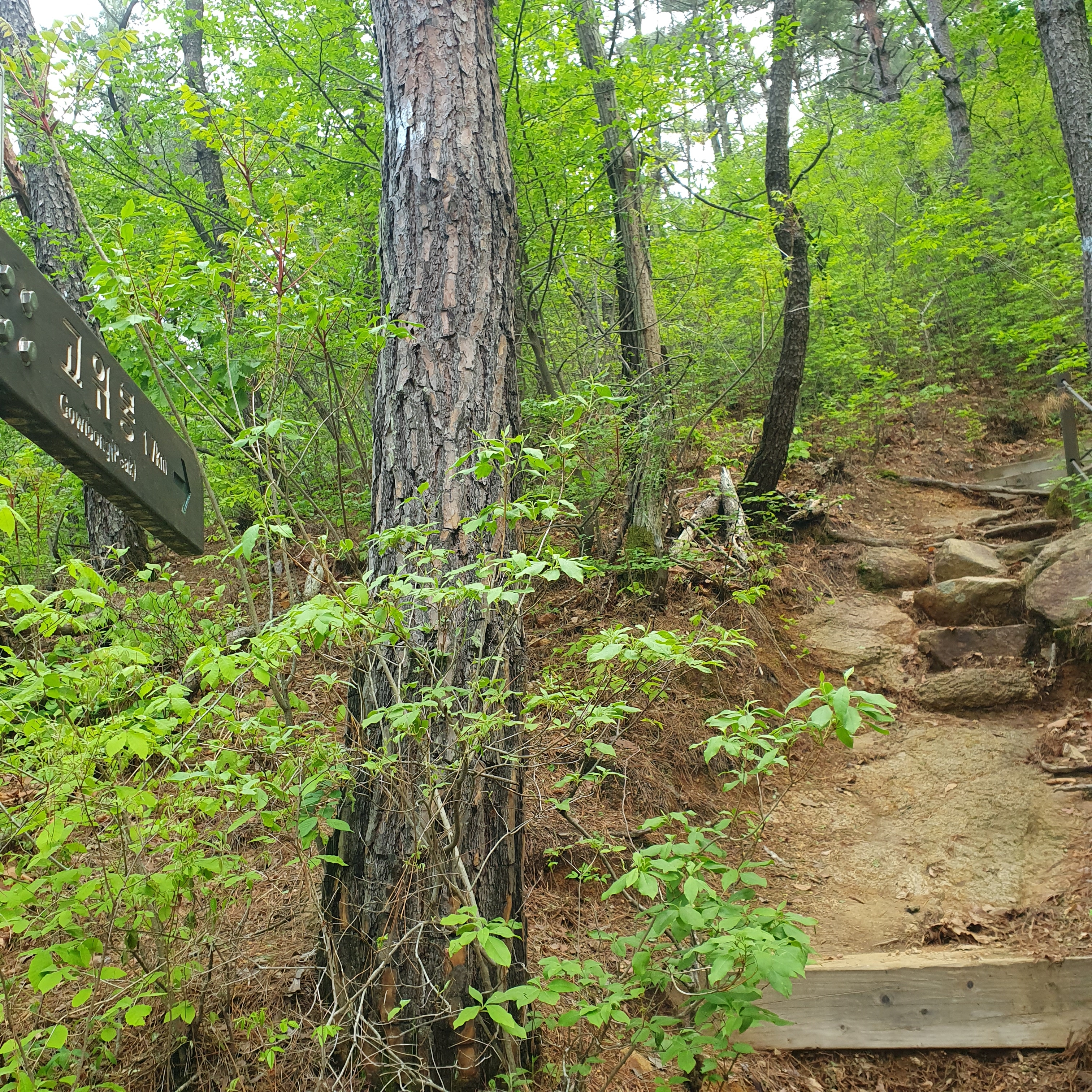 20230419_094431.jpg